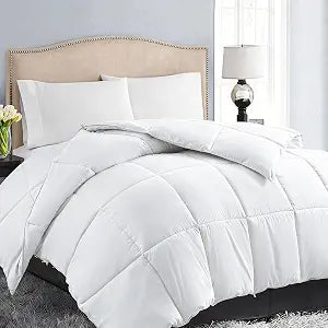EASELAND Down Alternative Comforter Queen Size - Quilted Duvet Insert for All Seasons, Soft Cozy with Corner Tabs, Summer Winter Warm Bedding, Pure White 8888