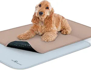 Paw Inspired Washable Crate Liners for Dogs (2 Pack), Leakproof, Non-Slip Pee Pads for 48 Inch Kennels, Reusable Puppy Pads for Potty Training, Whelping, Waterproof Mat (47x29 Inch, Pack of 2)
