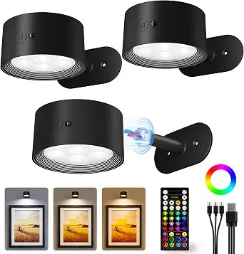 Picture Lights for Wall, Rechargeable Magnetic with Remote (Black-3P)