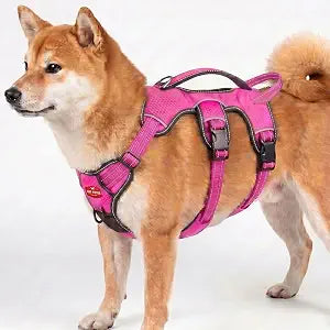 Tuff Pupper Escape Proof No Escape Dog Harness | 5 Point Adjustable Fit Harness for Dogs | Padded Dog Harnesses | Handle Dog Lift Harnesses