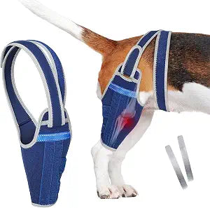 Dog Knee Brace for Torn ACL Hind Leg  Support Dog Leg Brace for Back Leg with 2 Stabilizers, Adjustable Hip Hysplasia brace to Reduce Pain Luxating Patella , Ligament Injuries, CCL ( Left Leg, S)