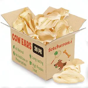FETCHERONI Whole Cow Ears for Dogs - Single Ingredient and Grass-Fed Cow Ears Treat - Dehydrated Thick Cut Dog Chews for Puppies or Large Breed, Not Bleached and Contains No Preservatives, Pack of 30