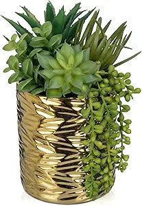 Hollyone Gold Artificial Succulents in Pots Faux Succulents Plants Fake Succulent Arrangement Potted Plants with Gold Tall Ceramic Vase for Desk Bathroom Shelf Living Room Indoor Home Decor Large
