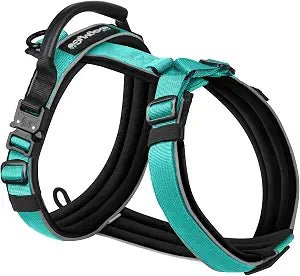Premium Y-Shaped Dog Harness for Training & Daily Walk,No-Pull Adventure Harness with Handle & 3 Leash Hook Points,Durable Nylon (Turquoise, M (Neck 48-74cm, Chest 58-81cm))