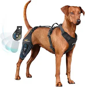 Dog Knee Brace for torn acl hind leg with Adjustable Hinge Stabilizer, Dog back brace for Osteoarthritis, Dog leg brace Support for Cruciate Ligament Injury,Recovery After,Patent Pending(Right Leg,XL)