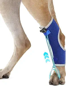 Dog Knuckling Braces Wrap for Hyperflexion of Phalanges Cause by Sciatic Nerve Damage, Carpal Flexural Deformity - Dual Locking Straps for Safe Adjustable Toe Lift Support (Blue, X-Large)