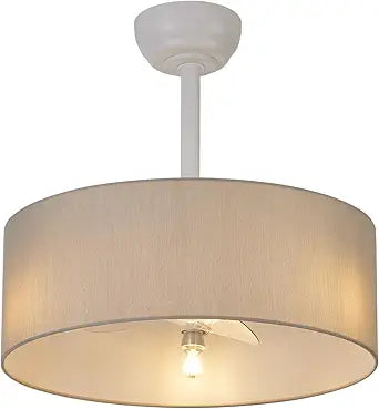 Low Profile Ceiling Fans with Lights 20" Ceiling Fans with Lights and Remote Flush Mount Ceiling Fan with Lights Boho Ceiling Fan with 6 Speeds for Living Room Bedroom.