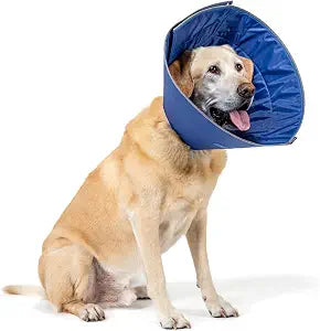 Calm Paws Dog Caring Collar W/Calming (XLarge)