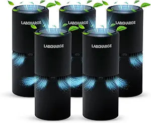 LabCharge Small Ionic Air Purifier for Home & Bedroom Γ Silent HEPA Filter Γ Covers 250 Sq Ft Γ For Pet Hair, Smoke, Dust, Odors & Dander Γ Compact Black Design Γ Pack of 5