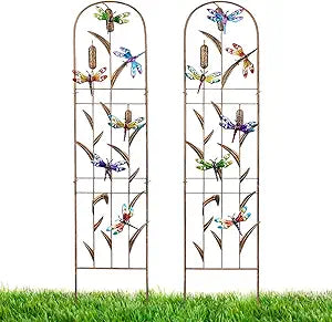 2 Pack Metal Garden Trellis with Colorful Dragonfly 60 Inch High Outdoor Decoration Arched Fence Trellis for Climbing Plants for Patio, Lawn, Yard, Backyard, Wall Brackets