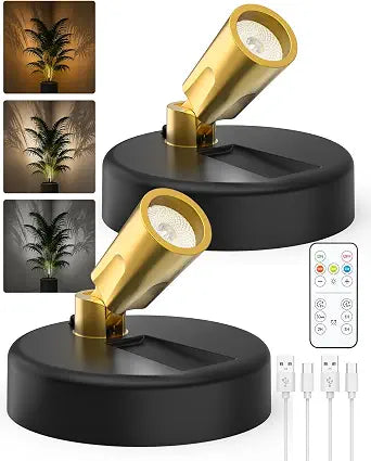 GOODEA 4000mAh Rechargeable Spotlight Indoor with Remote, Plant Lights