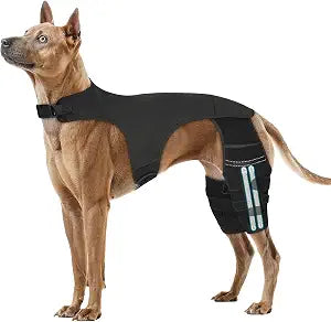 Adjustable Dog Knee Brace for ACL Tear and Arthritis Recovery - Dual Hind Leg Support with Harness Connection - Orthopedic Leg Brace for Joint Stability and Pain Relief in Dog ((XXL)