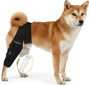 Dog Knee Brace for Hind Leg  Adjustable Rear Leg Support with 2 PP Resin Bars, Helps Torn ACL, Ligament Injuries, Luxating Patella & Hip Dysplasia Recovery for Left/Right Hind Leg (L)