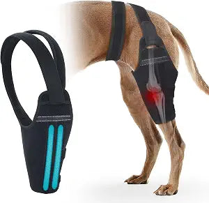 Dog Knee Brace for Torn ACL Hind Leg  Support Dog Leg Brace for Back Leg with 2 Stabilizers, Adjustable Hip Support to Reduces Pain Luxating Patella, Ligament Injuries, CCL (Left Leg, XL)