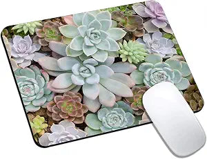 Cute Succulent Mouse Pads for Desk, Portable Computer Mouse Pad Small Square Mousepad, Non-Slip Rubber Base Design for Office Desk Accessories 9.5" x 7.9"