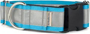 If It Barks - 1.5" Reflective Martingale Collar with Quick Snap Buckle for Dogs - Adjustable - Made in USA - Strong, Durable, and Comfy - Ideal for Training - Fits Most Breeds - Small, Turquoise