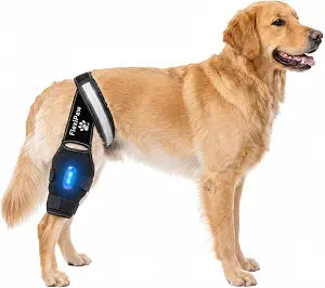 Dog Knee Brace  Rear Leg Support with Freezable Gel Pack, Removable Stabilizer Rods, Reflective Straps, for ACL/CCL Injury, Arthritis & Post-Surgery Recovery (Medium)