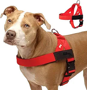 Dog Friendly Co. Dog Harness | Chafe Resistant Webbing, Adjustable Neck & Chest, and Heavy Duty D-Ring | Sturdy, Comfortable, Easy to Use | Red, Size L