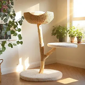 Modern Cat Tree, Natural Pear Wooden Cat Tower for Indoor Cats, Real Branch Luxury Cat Condo with Scratching Post & Hanging Toy Ball35" Tall