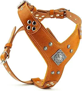 Bestia "EROS Genuine Leather Dog Harness, Large Breeds, Cane Corso, Rottweiler, Boxer, Presa, Bullmastiff, Dogo, 100% Leather, Studded, M- XXL Size, Soft Padded. Made in Europe!