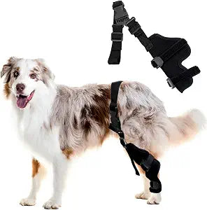 Dog Rear Leg Sleeve, Universal Left or Right Hock Joint Recovery Protector, Breathable Anti-Lick Wound Cover for Post-Surgery & Injury Healing, Adjustable(XL)