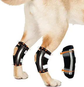 NeoAlly Super Supportive Dog Braces for Rear Hock Joint with Dual Metal Spring Strips Stabilize Canine Hind Legs from Wound Injury Sprains Arthritis (Medium Pair)
