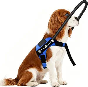 Blind Dog Protective Halo Vest, Adjustable Navigation Harness with Protective Ring for Visually Impaired Dogs & Small Puppies (XS)