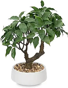Artificial Bonsai Tree, Small Ficus Bonsai Tree 13" Indoor Bonsai Tree Fake Potted Plant Decorative Fake Desk Plant Decor with Ceramic Pot for Home Office Living Room Bedroom Bathroom Table Shelf