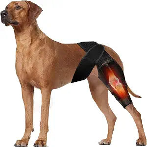 Dog Knee Brace for Torn ACL Hind Leg, Front Back Leg Support with Side Stabilizers Vet-Recommended Dog Joint Protection Arthritis Pain Relief Recovery Brace for Small Medium Large Dogs