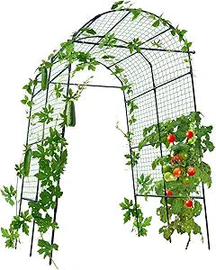 FOLLOOK Garden Arch Trellis for Climbing Plants Outdoor, 7.8 ft Tall Cucumber Trellis for Raised Bed, Plastic-Coated Metal Plant Support Vegetable Squash Pea Bean Grape Vine Arbor, Black