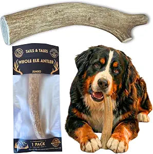 Tails & Tales Whole Elk Antler for Dogs Jumbo 9-11" Long-Lasting & Durable Dog Bones for Aggressive Chewers or Teething Puppies No Additives, Premium Grade A, Naturally Shed in USA