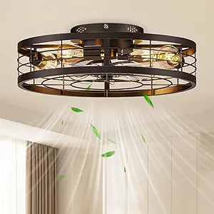 VOLISUN Caged Ceiling Fan with Light and Remote,19.7 inch Fandelier Ceiling Fan with Light Flush Mount, Farmhouse Bladeless Ceiling Fans with Lights for Kitchen,Bedroom