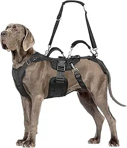 Dog Lift Harness, Dog Support & Recovery Sling for Full-Body & Hind/Front Leg  Pee-Able Design for Large/Medium Dogs  All-in-One Ideal Assistance for Senior, Disabled, Arthritic & ACL Canines (M)