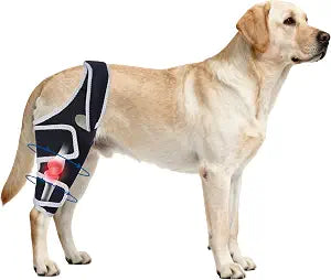 Knee Brace for Dogs All Leg, Adjustable Dog Knee Brace for Torn Acl Hind Leg -Keeps Joint Warm and Stable,Extra Support,Reduces Pain.(Size XL)