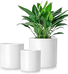 vancasso 6"+8"+10" Ceramic Pot for Plants, Large Outdoor Indoor Planter Pots with Drainage Holes, Set of 3, White