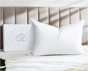 White Goose Down Pillow - Luxury Hotel Bed Pillow with 100% Natural Goose Feather Down Pillow for Sleeping, 700TC Cotton Shell, Standard Size- Firm, 1 Pack
