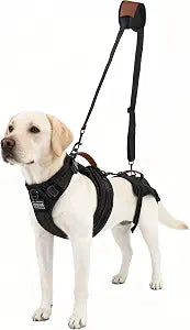 Dog Lift Harness for Male Dogs - 2-in-1 Full Body Support Aid & Sling, Comfortable & Chafe-Free for Post-Surgery Recovery and Elderly Dog Mobility, Hind Leg Assistance, Supports up to 40 Lbs (M)