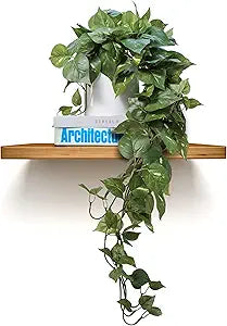 MY ROVALA Silk Plants for Home Decor Indoor in Pot Realistic Artificial Plants Hanging Faux Plants Indoor Fake Potted Plants for Shelves Bedroom Bathroom Trailing Plant, Fake Pothos Ivy (Dark Green)