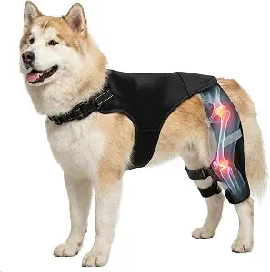Dog Knee Braces for Torn ACL Hind Leg, Adjustable Dog Leg Braces for Back-Leg with Four Stabilizers for Luxating Patella Relieves Ligament Injury and Joint Pain (L)