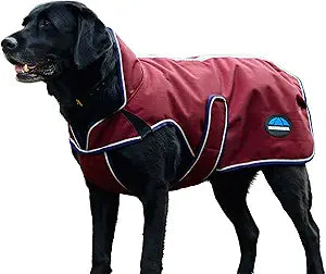 WeatherBeeta ComFiTec Premier Deluxe Waterproof Dog Coat, Burgundy/Navy, 16"