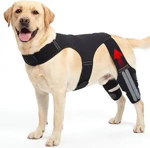 Dog Knee Brace for Back Leg Hind Leg ACL Dog Brace Support Adjustable Double Dog Leg Brace with Stabilizers, Helps with Torn CCL, Luxating Patella, Ligament Injuries,3XL