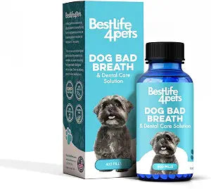 BestLife4Pets Oral Care Supplement for Dogs  Daily Dental Hygiene Support for Fresh Breath & Healthy-Looking Teeth  Easy-to-Use Tiny Pills