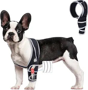 Knee Brace for Dogs with Torn ACL, Adjustable Dog Leg Braces Rear Leg or Front Legs Support Bracket, Warm Joint Pain Relief CCL Brace for Pets Knee Support Universal Four Legs, S