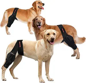 Dog Knee Brace for Back Leg Torn ACL Hind Leg, Dog Knee Braces for Back Leg ACL/CCL Brace for Dogs Rear Leg, Luxating Patella & Arthritis, Adjustable Neoprene Dog Leg Brace with Anchor Strap S