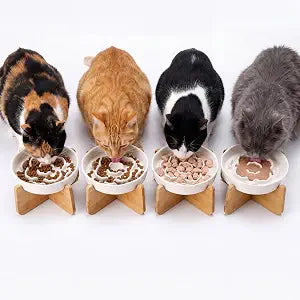 4 Set Raised Slow Feeder Cat Bowl with Stand 5.8'' Wide Ceramic Elevated Shallow Slow Eating Cat Bowl for Dry/Wet Food, Pet Puzzle Feeder, Beard Friendly, Dishwasher Safe