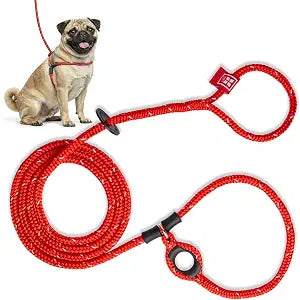 Harness Lead No Pull Dog Harness and Leash Set, Anti Pull Dog Harness, One-Piece Cushioned Rope Safely Prevents Escaping and Pulling (Small/Medium, Red/Reflective)