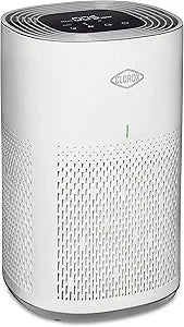 Clorox HEPA Air Purifiers for Home, True HEPA Filter, Medium Rooms Up to 1,000 Sq Ft, Removes 99.9% of Mold, Viruses, Wildfire Smoke, Allergens, Pet Allergies, Dust, AUTO Mode, Whisper Quiet