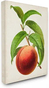 Stupell Industries Vintage Peach Still Life, 16 x 20 Inch Canvas Wall Art