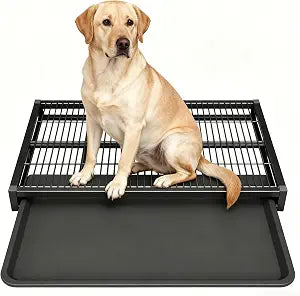 Indoor Dog Potty Toilet Tray 24.4 x 17.7 Inch Elevated Pee Pad Holder Training Tray, Keeps Paws & Floors Clean, Ideal for Bedroom Dorm Black, M Size