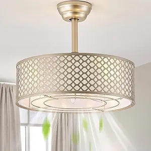 Gold Fandelier Ceiling Fan with Light, 20" Caged Boho Ceiling Fans with Lights and Remote, Mid Century with 6 Speeds for Bedroom, Living Room, Nursery